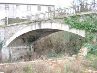 photo1