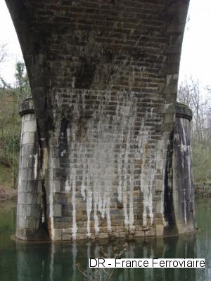 photo2